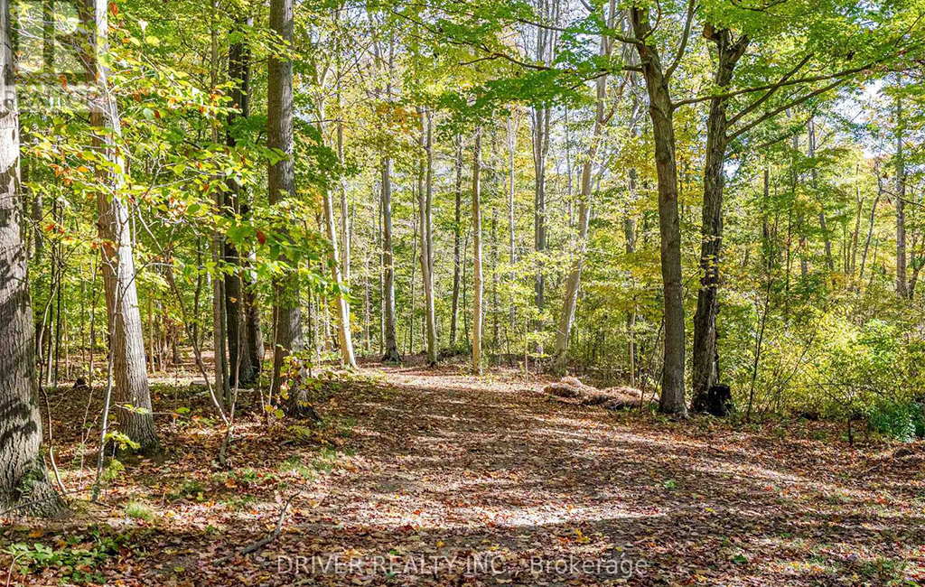 jenny mcmullin - driver realty brokerage sales representative