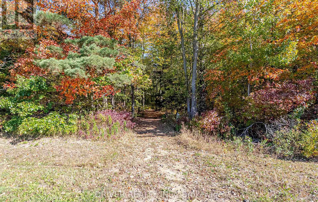 jenny mcmullin - driver realty brokerage sales representative