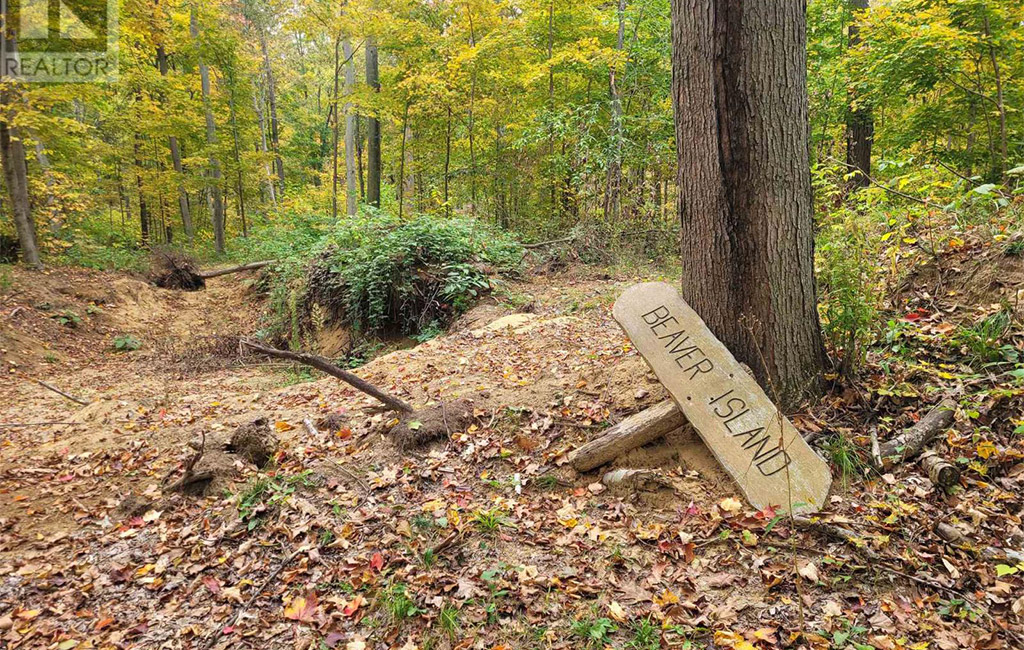 jenny mcmullin - driver realty brokerage sales representative